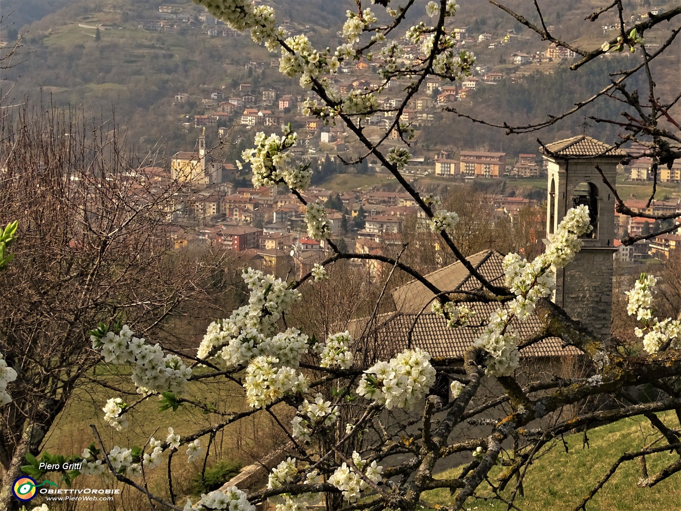 34 Da ciliegi in fiore Chiesetta di S. Antonio a dx e Chiesa di S. Lorenzo di Zogno a sx.JPG